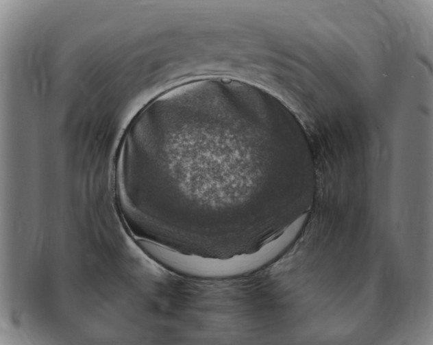 X0000091011527200708241501