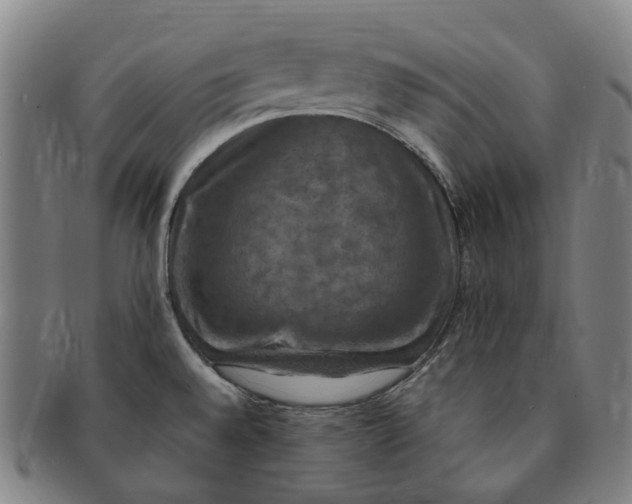 X0000091011528200708241501