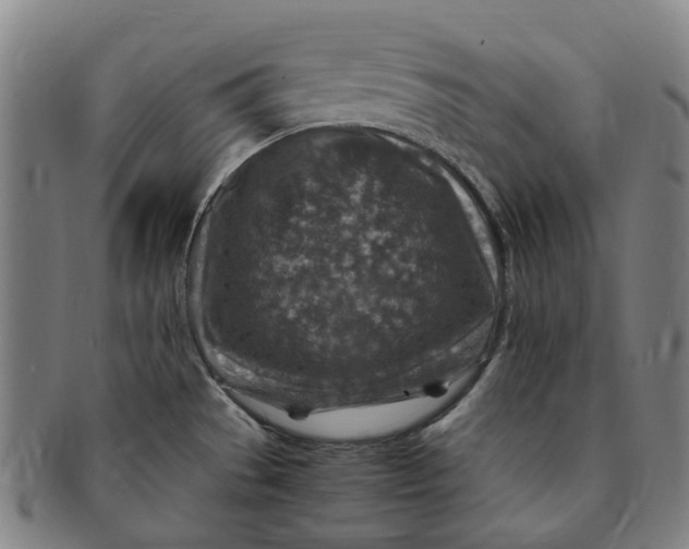 X0000091011529200708241501