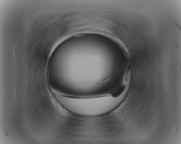 X0000091011530200708241501