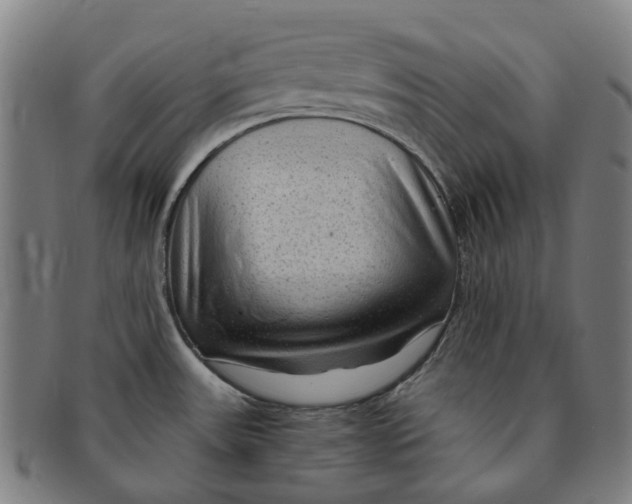 X0000091011531200708241501