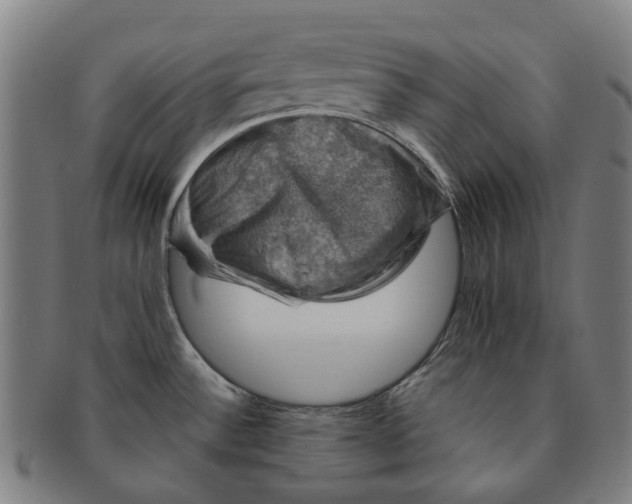 X0000091011532200708241501