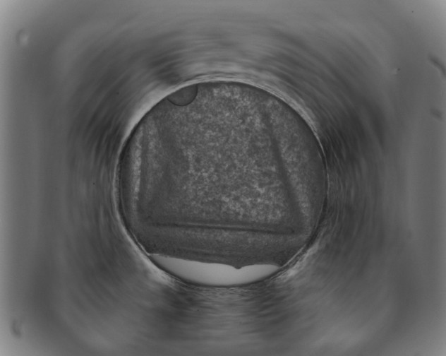 X0000091011533200708241501