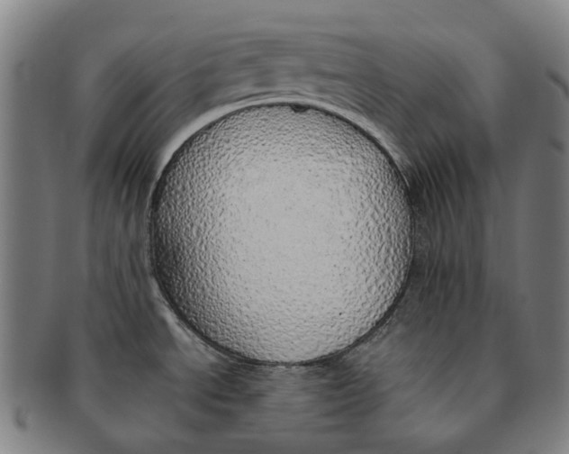 X0000091011534200708241501