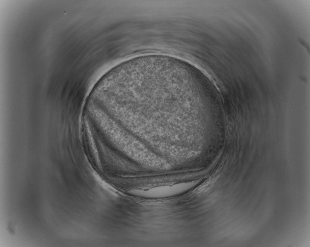 X0000091011535200708241501