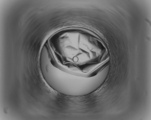 X0000091011536200708241501