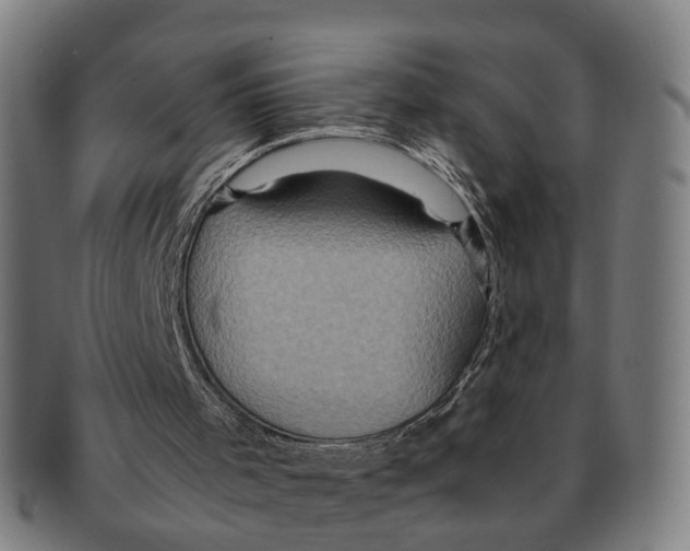 X0000091010001200708301408
