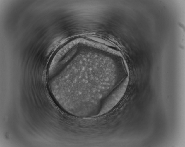 X0000091010002200708301408