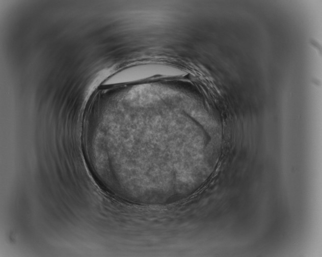 X0000091010003200708301408