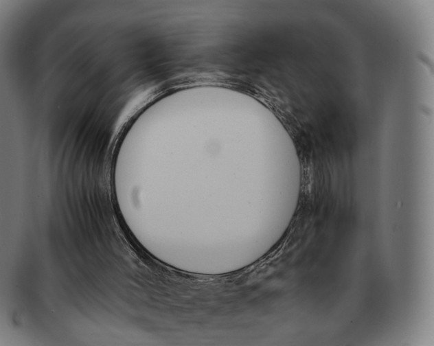 X0000091010004200708301408