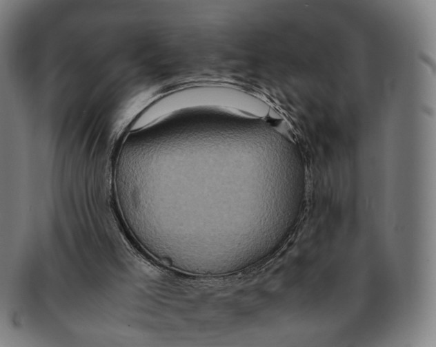 X0000091010005200708301408