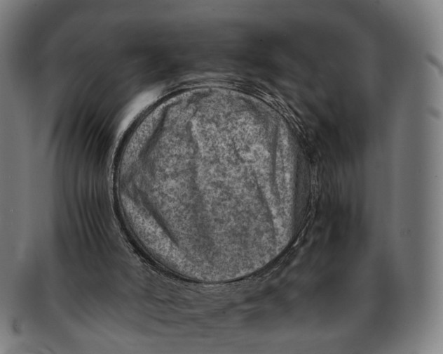 X0000091010006200708301408