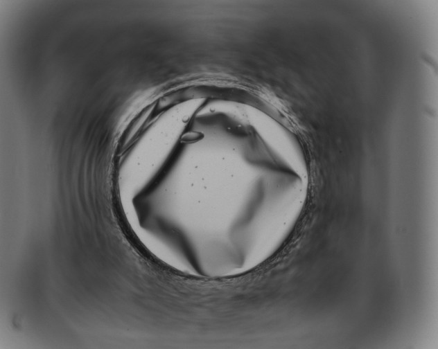 X0000091010007200708301408