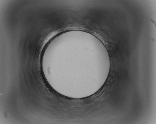 X0000091010008200708301408
