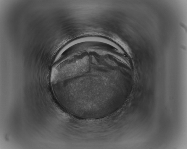 X0000091010009200708301408