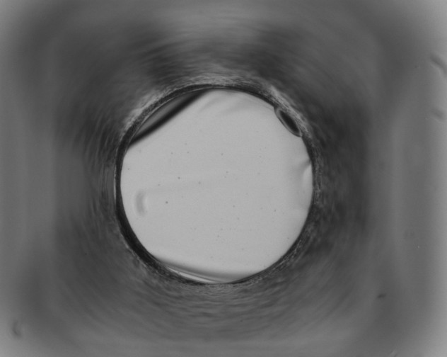 X0000091010011200708301408