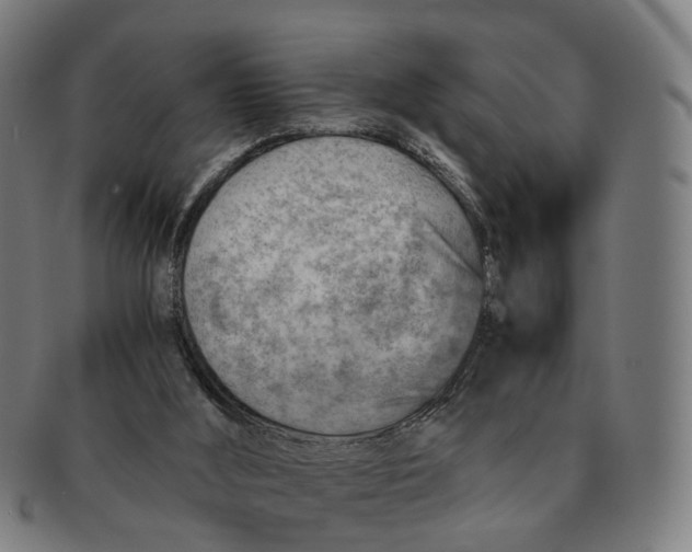 X0000091010012200708301408