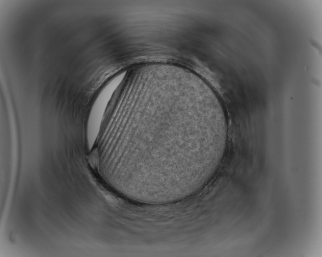 X0000091010013200708301408