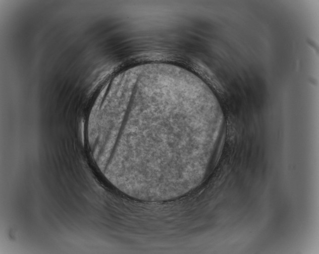 X0000091010014200708301408