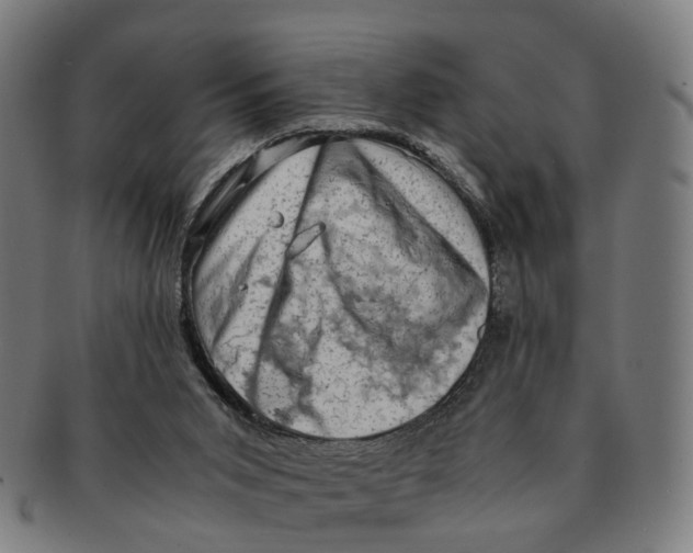 X0000091010015200708301408
