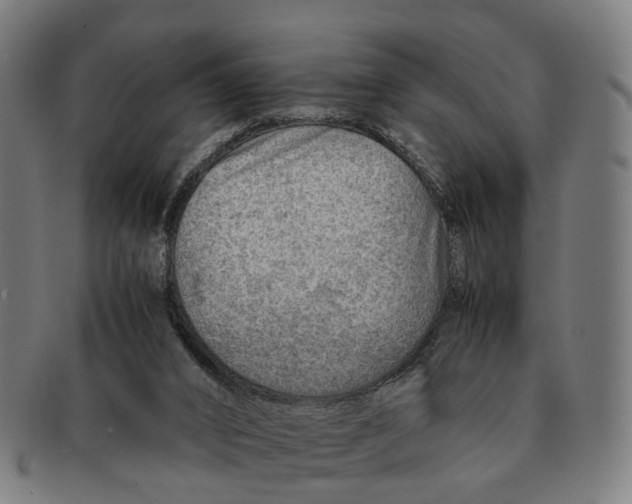 X0000091010016200708301408