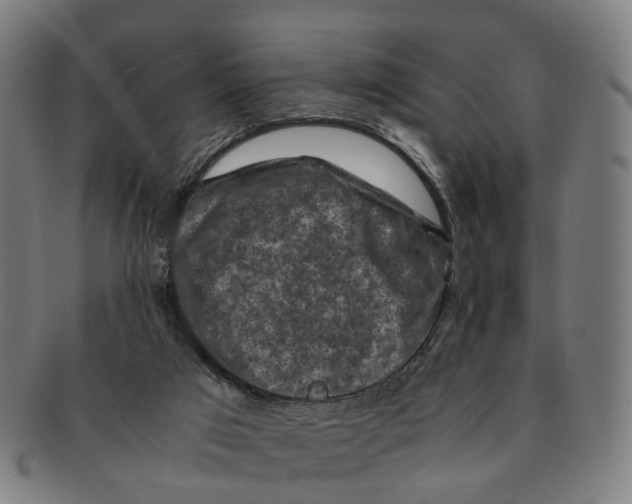 X0000091010017200708301408