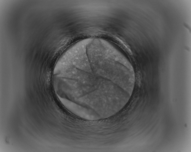 X0000091010018200708301408