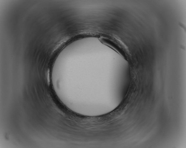 X0000091010020200708301408