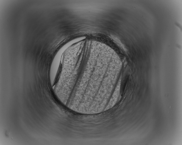 X0000091010021200708301408