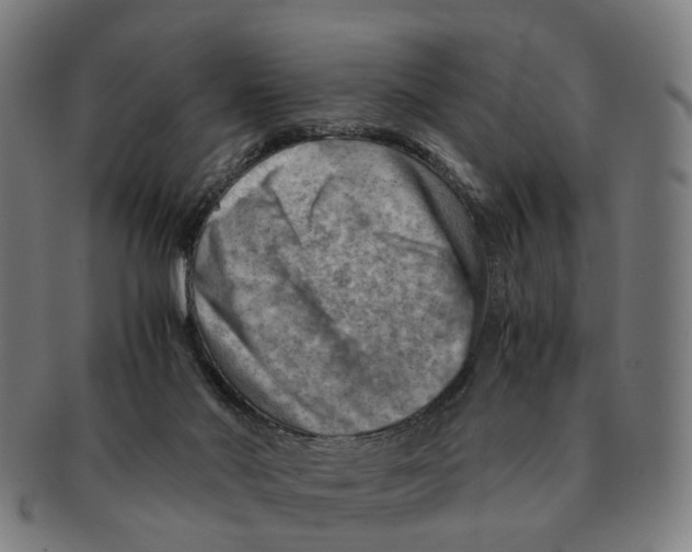 X0000091010022200708301408