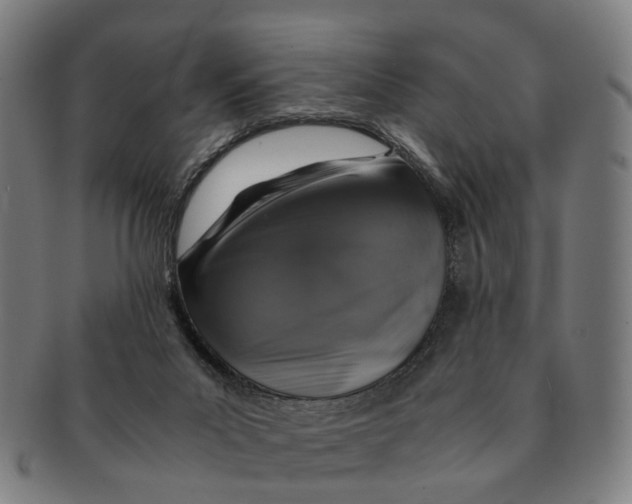 X0000091010023200708301408