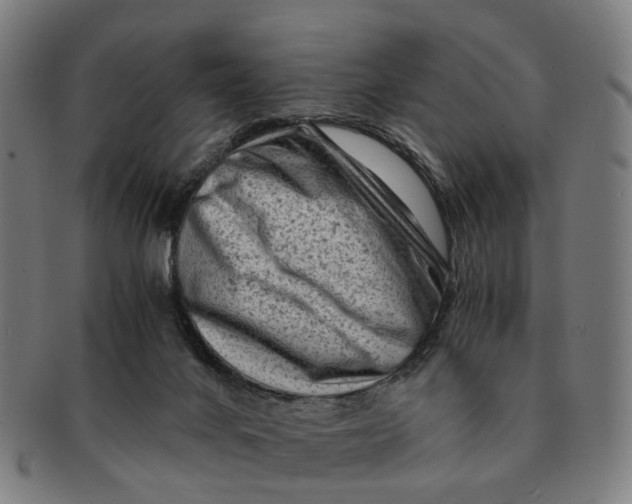 X0000091010024200708301408