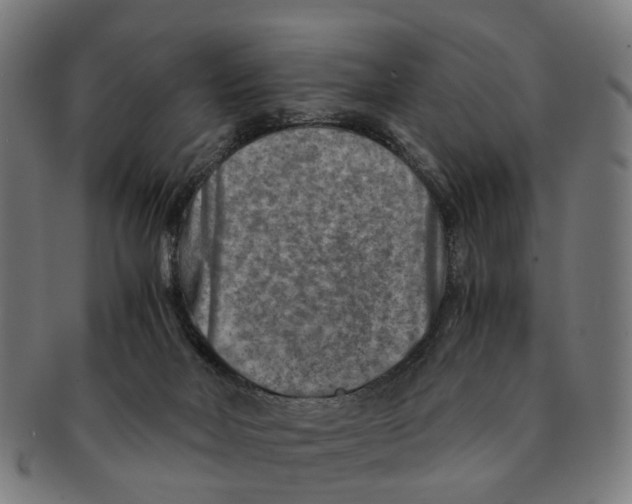 X0000091010026200708301408