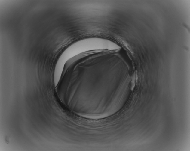 X0000091010027200708301408