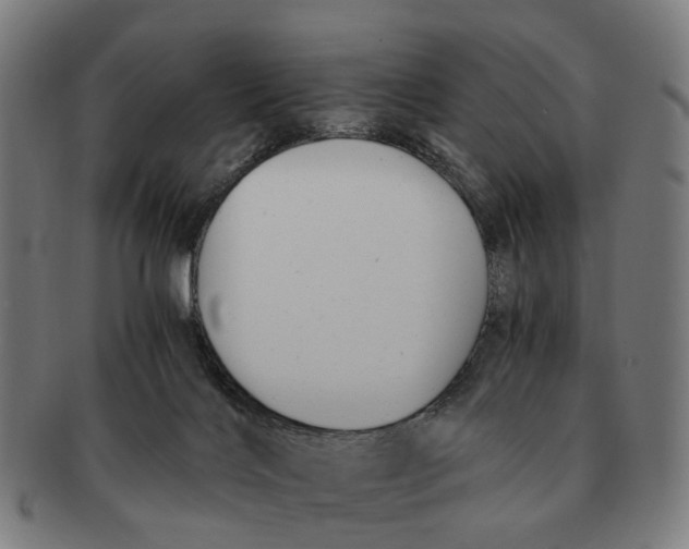 X0000091010028200708301408
