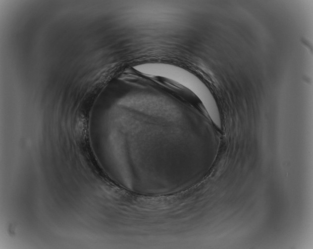 X0000091010029200708301408