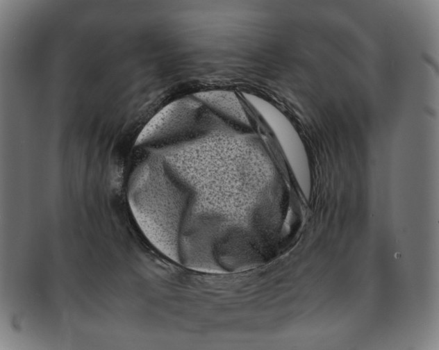 X0000091010033200708301408