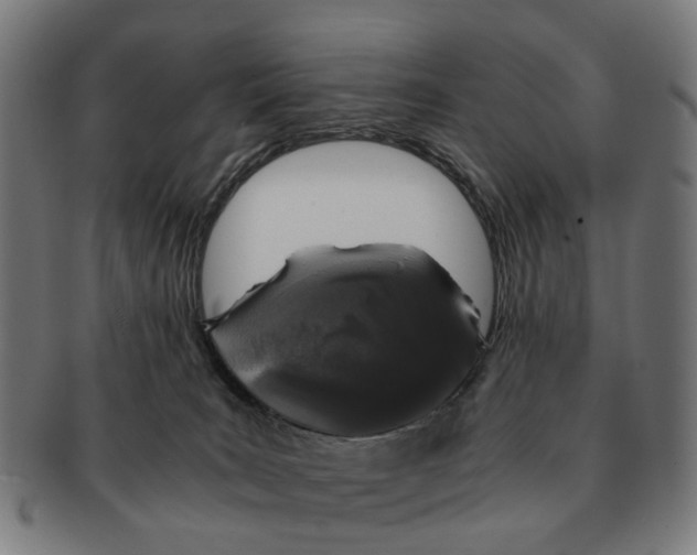 X0000091010035200708301408
