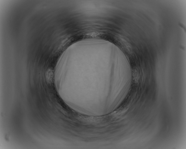 X0000091010036200708301408