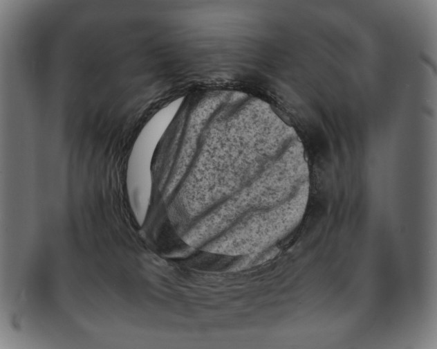 X0000091010037200708301408