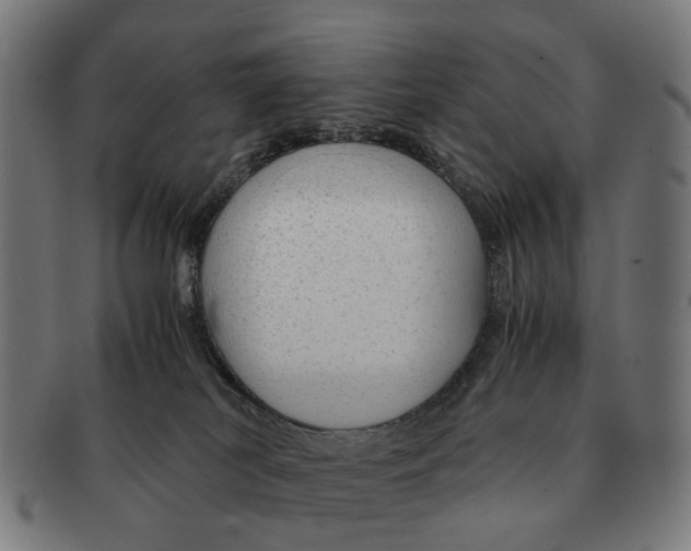 X0000091010038200708301408