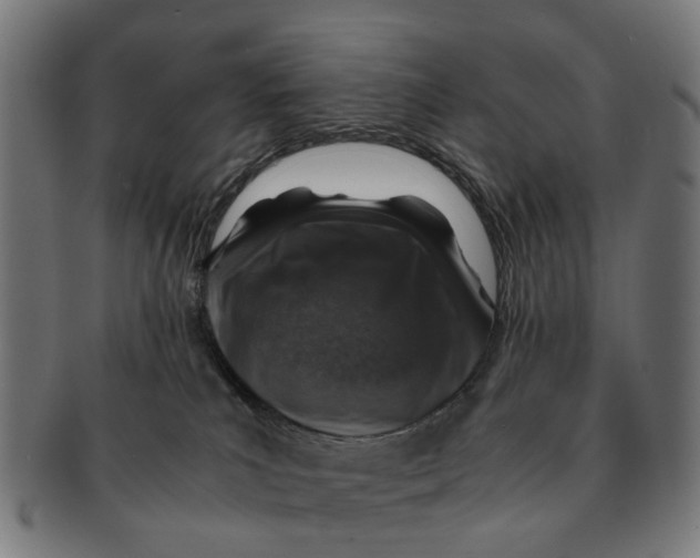 X0000091010039200708301408