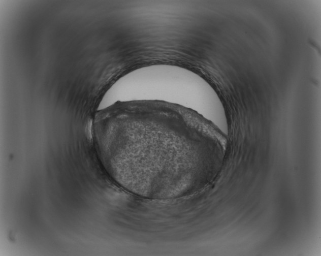 X0000091010041200708301408