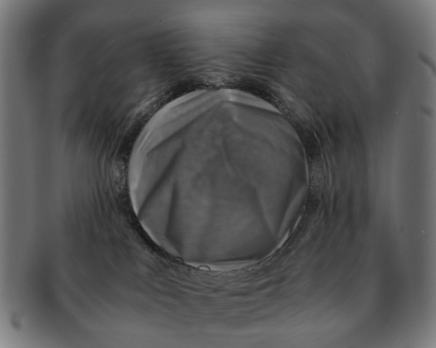 X0000091010043200708301408