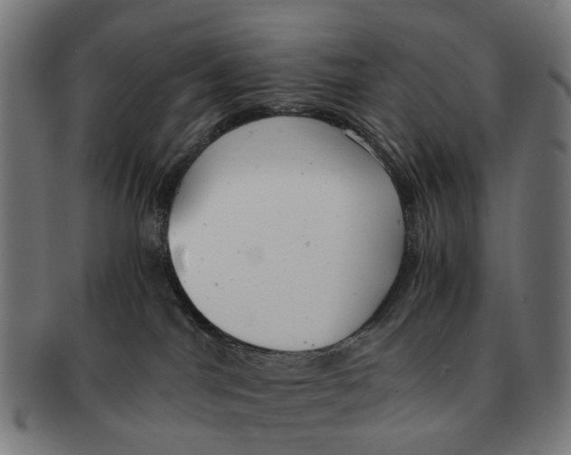 X0000091010044200708301408