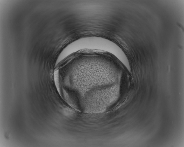 X0000091010045200708301408
