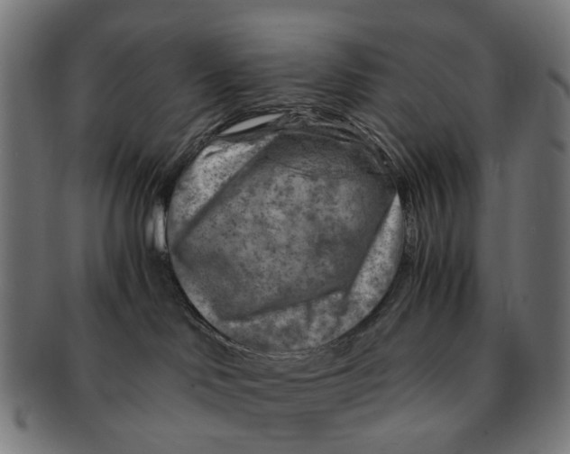 X0000091010046200708301408
