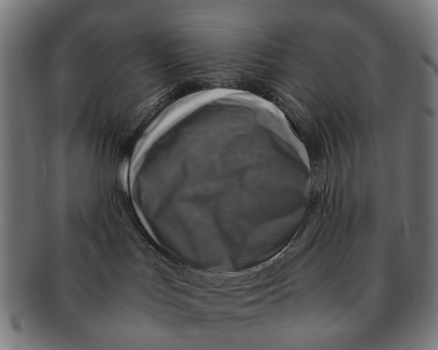 X0000091010047200708301408