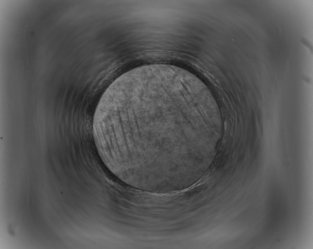 X0000091010048200708301408