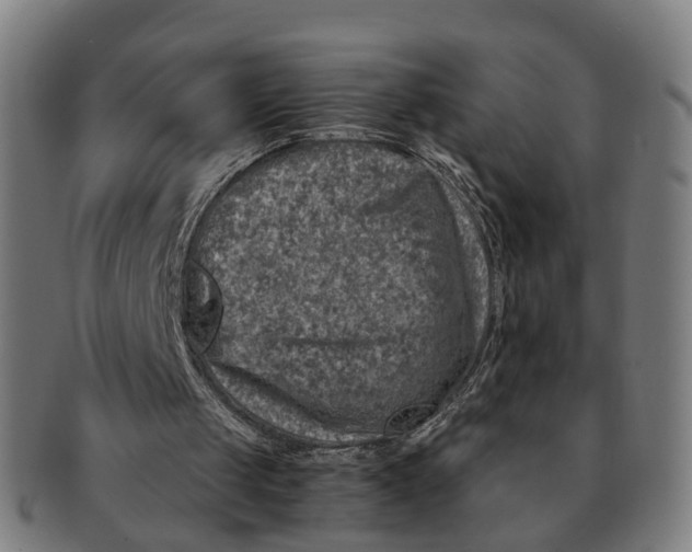 X0000091010049200708301407